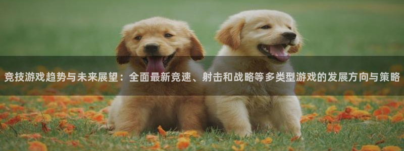 高德娱乐Ii：竞技游戏趋势与未来展望：全面最新竞速、射击和战
