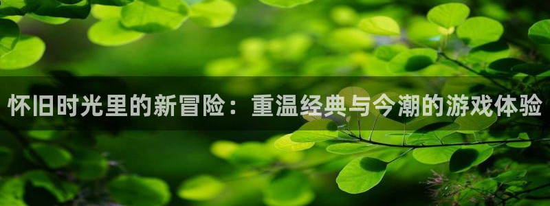高德娱乐平台官网入口：怀旧时光里的新冒险：重温经典与今潮的游
