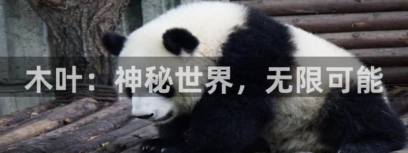 高德娱乐app下载|下载地址：木叶：神秘世界，无限可能
