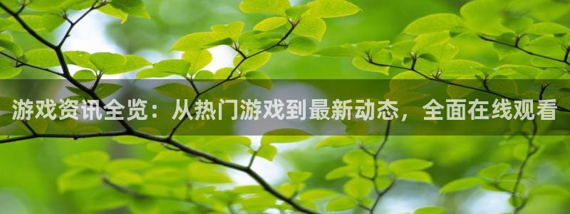 高德娱乐app下载：游戏资讯全览：从热门游戏到最新动态，全面