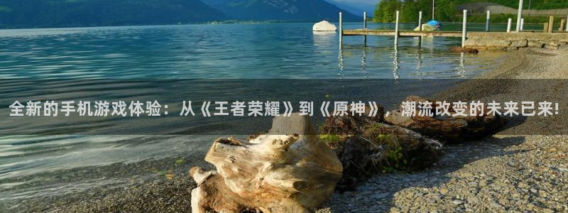 高德娱乐主管：全新的手机游戏体验：从《王者荣耀》到《原神》，