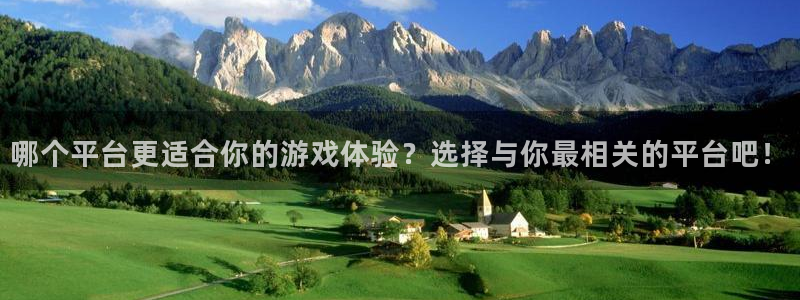 手机高德娱乐下载安装