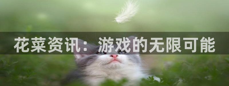 高德娱乐集团：花菜资讯：游戏的无限可能