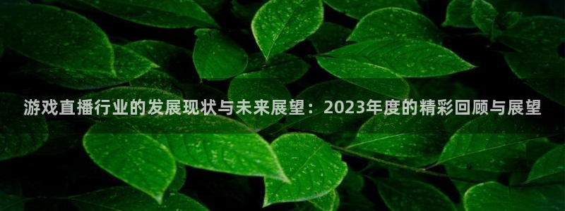 高德娱乐2首页登录：游戏直播行业的发展现状与未来展望：202