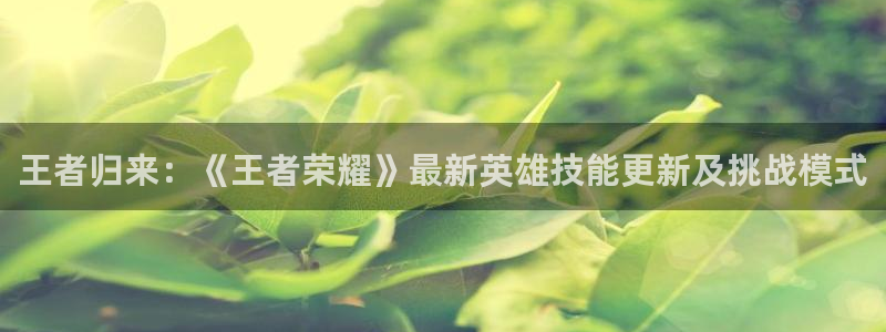 高德娱乐平台负责人：王者归来：《王者荣耀》最新英雄技能更新及